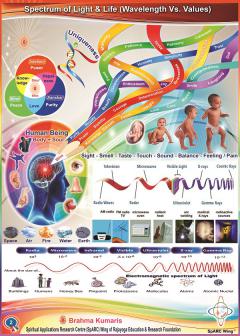 Spectrum of Light and Life