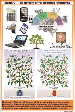 Memory-The Reference for Reaction/Response